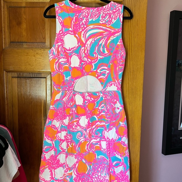 Lily Pulitzer Dress - Picture 6 of 9